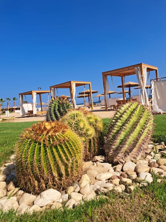 Gartenanlage Shams Prestige Abu Soma-Adults Only