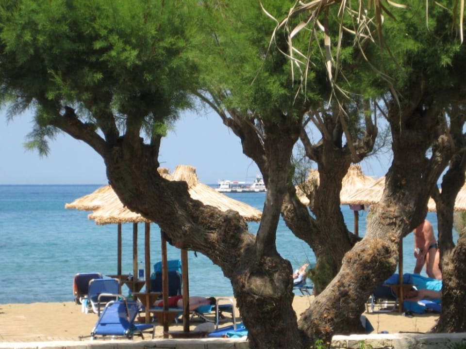 Blick zum Strand Phãea Cretan Malia