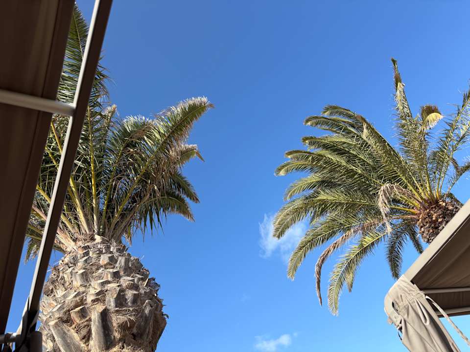 Ausblick Dreams Lanzarote Playa Dorada Resort & Spa