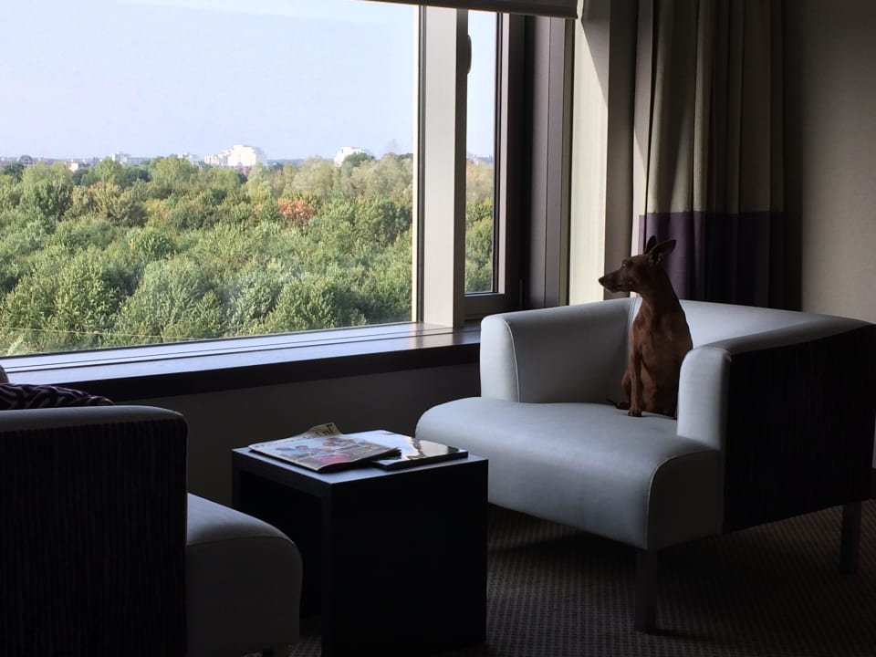 Zimmer Van der Valk Hotel Düsseldorf