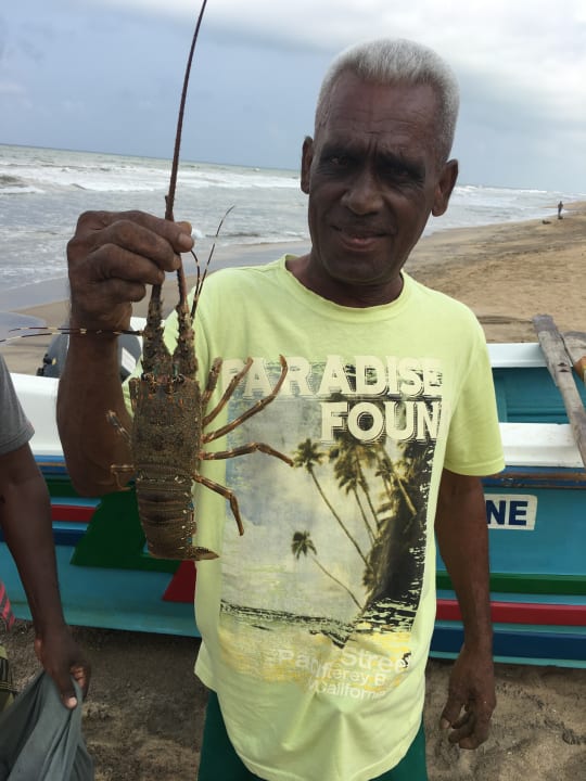 Strand Mermaid Hotel & Club