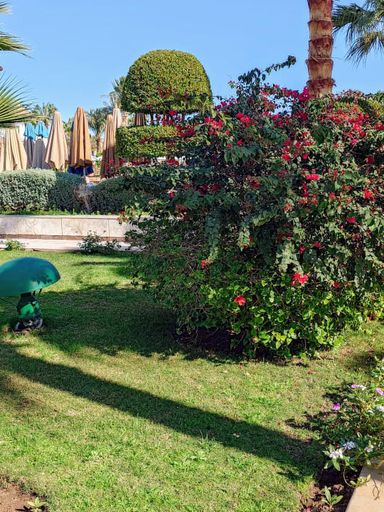 Gartenanlage The Grand Hotel Hurghada