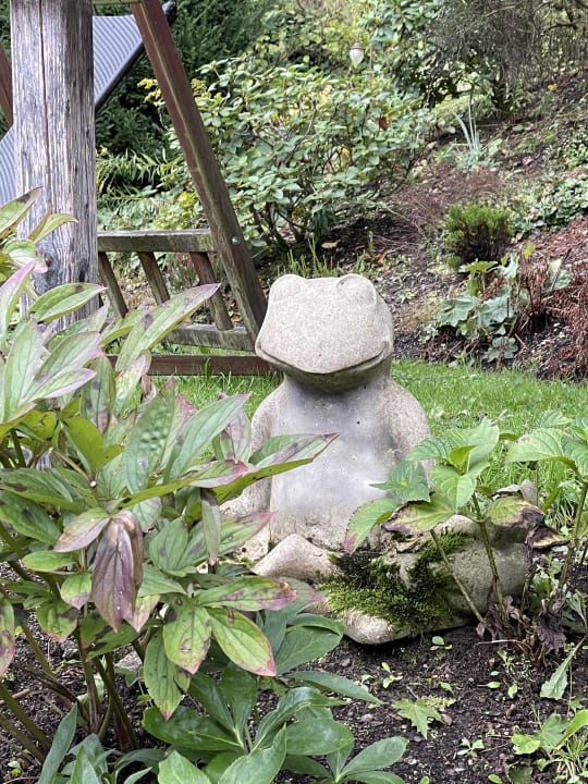 Gartenanlage Spirit & SPA Hotel Birkenhof am Elfenhain