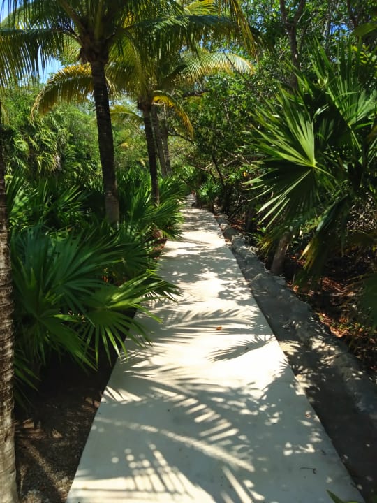 Gartenanlage Akumal Bay Beach & Wellness Resort