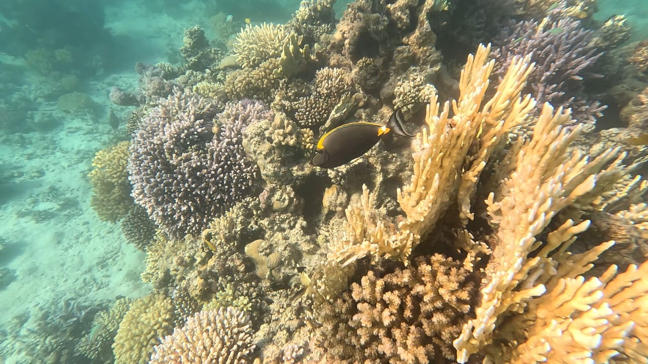 Sport & Freizeit Hotel Kempinski Soma Bay