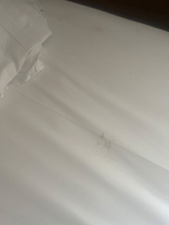 Zimmer Club Hotel Anjeliq