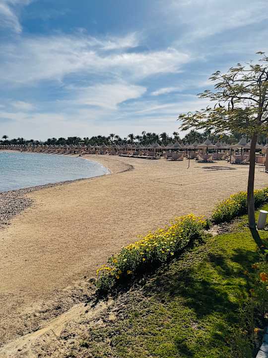 Strand The Grand Palace - Adults only