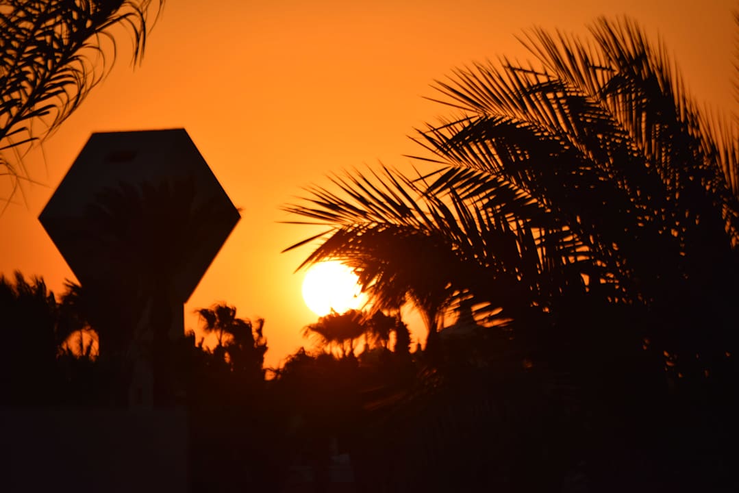 Ausblick Beach Albatros Resort