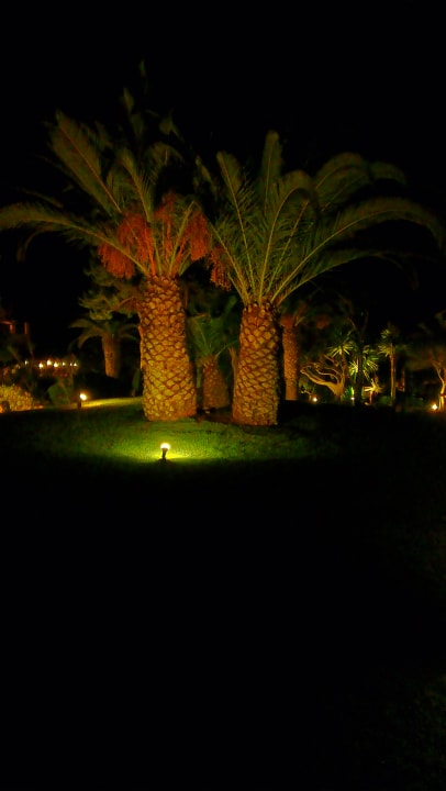 Gartenanlage Anissa Beach & Village
