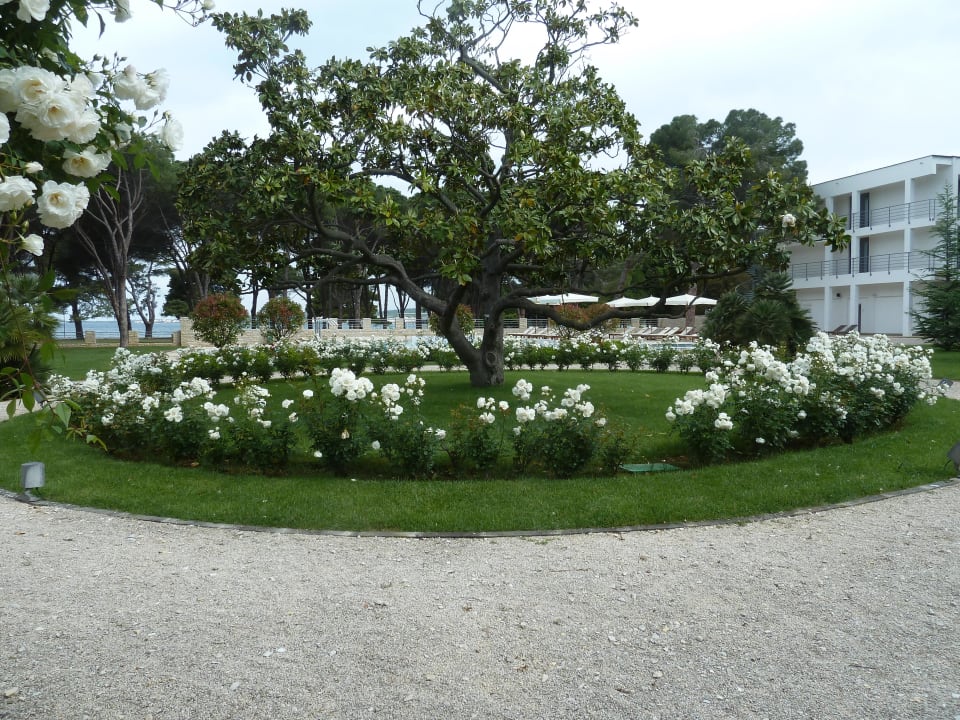 Gepflegt Falkensteiner Hotel Adriana