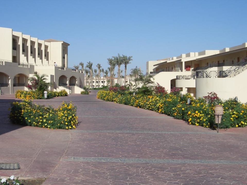 Gartenimpression Cleopatra Luxury Resort Makadi Bay