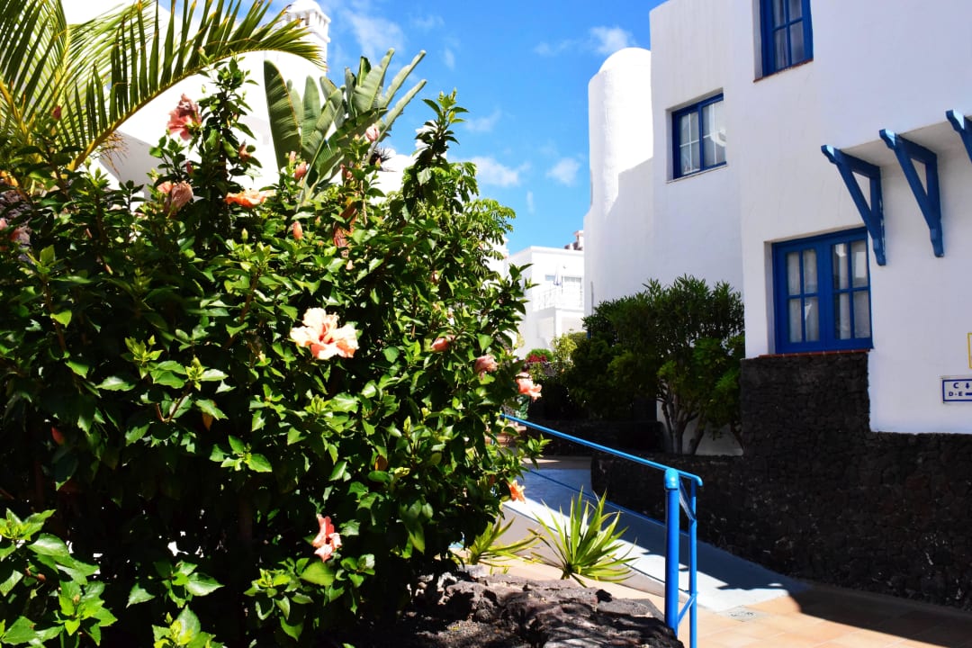 Botanik LABRANDA Bahía y Villas Fañabé