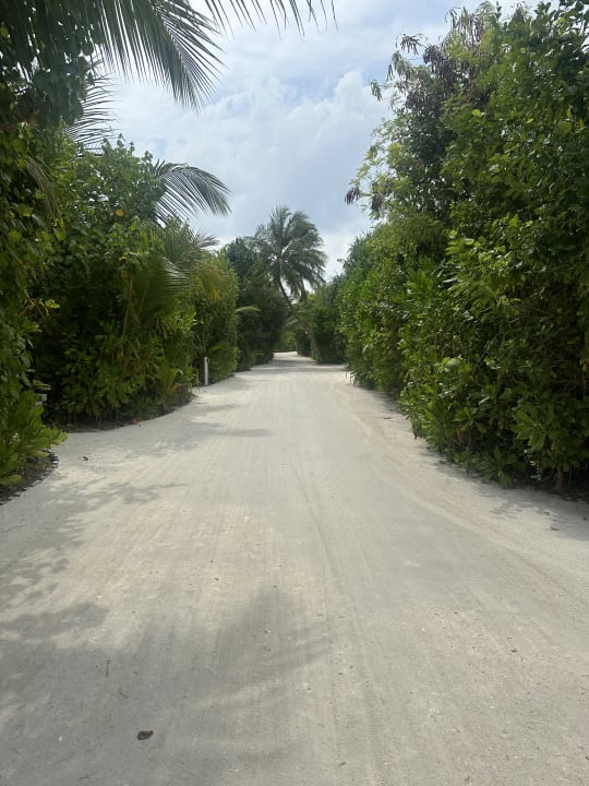 Gartenanlage Siyam World Maldives