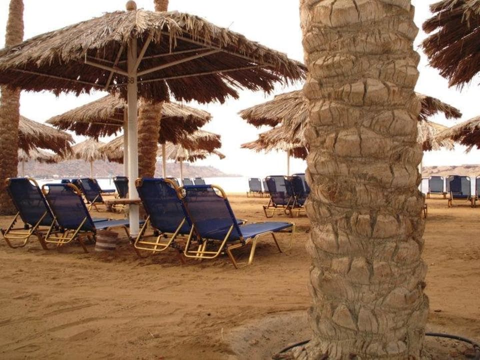 Strandbereich des Hotels Iberotel Palace