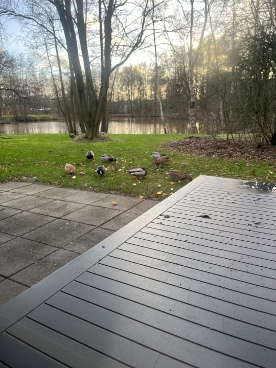 Ausblick Ferienpark Klein Vink