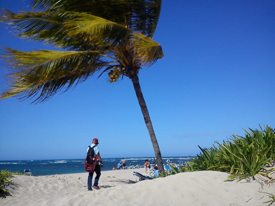Hotelstrand rechts Grand Paradise Playa Dorada