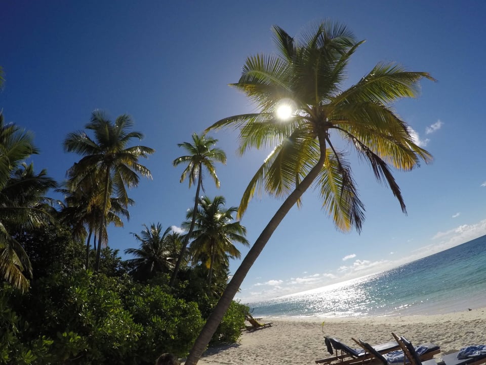 Fernweh vom Feinsten Filitheyo Island Resort