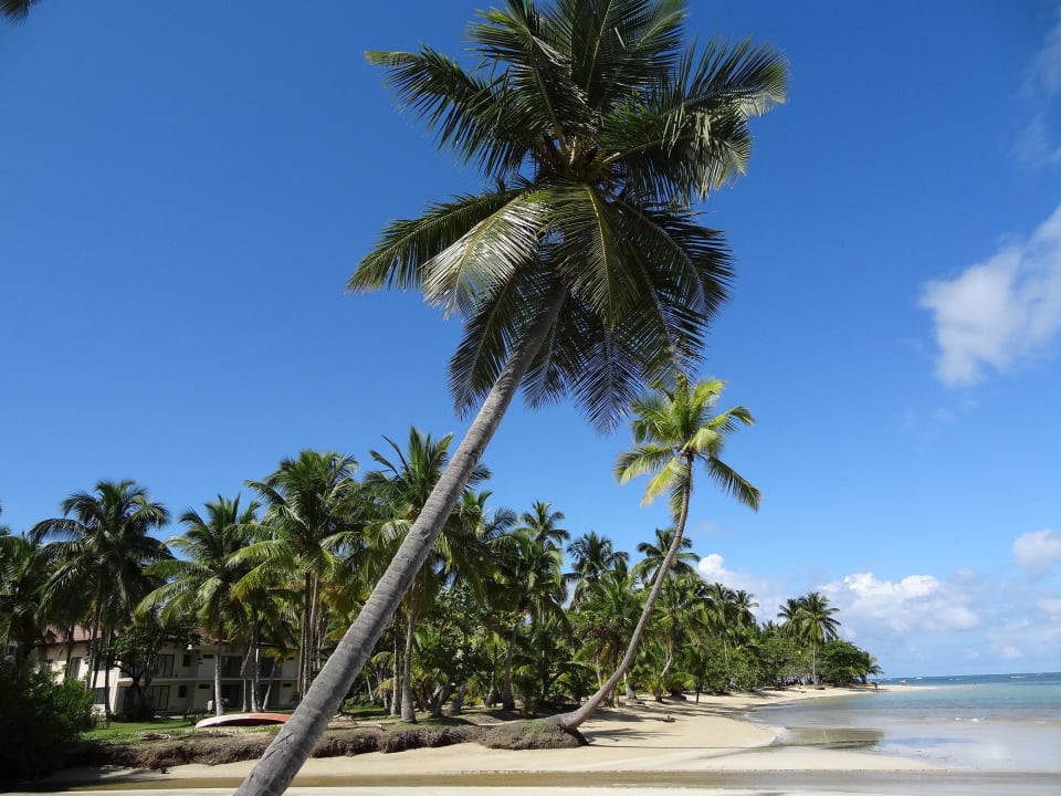 Strandspaziergang Bahia Principe Grand El Portillo