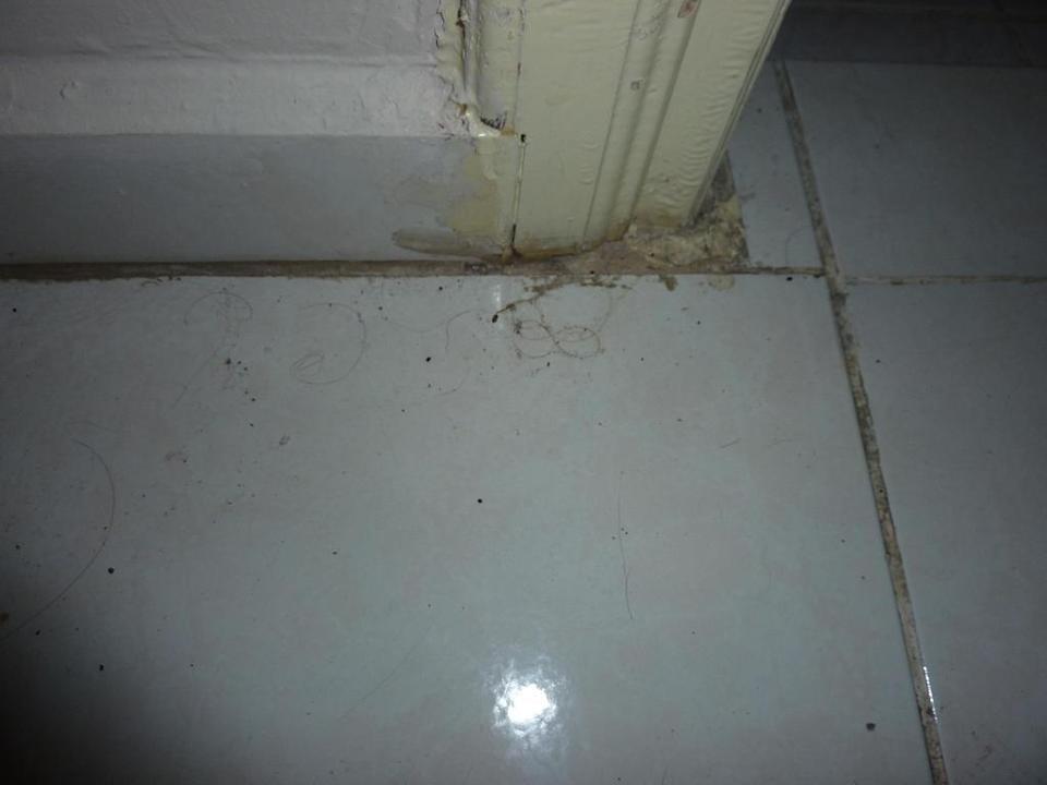 Boden Cleopatra King Apart