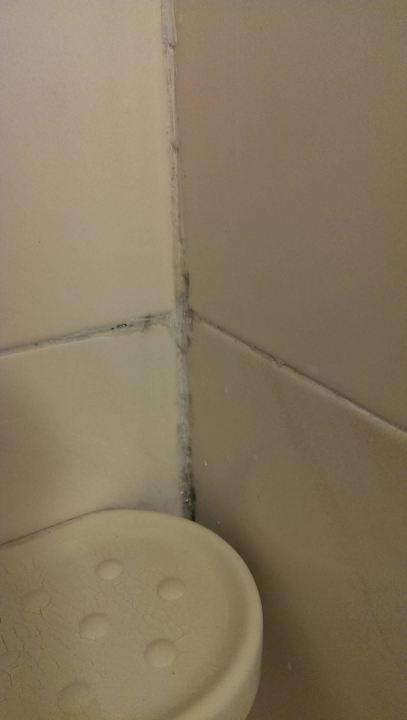 Bad Standard Hotel Golden Fox