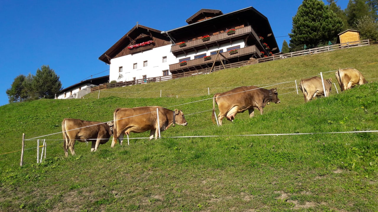 Hof Alpengasthaus Gleinserhof