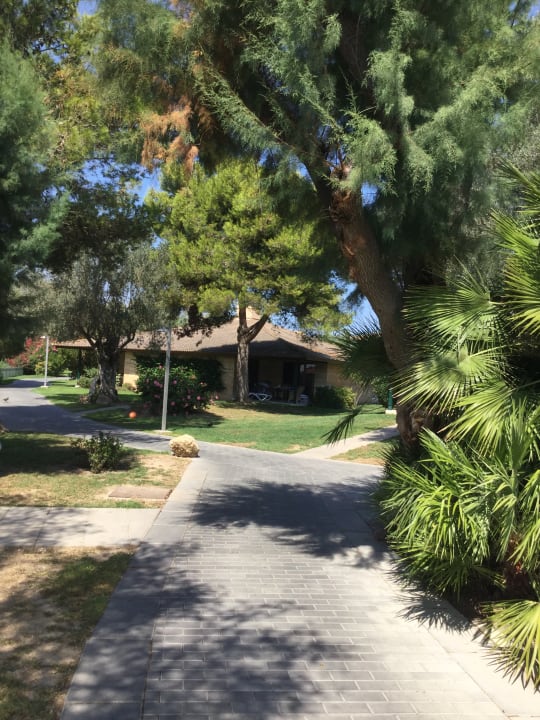 Gartenanlage PortBlue Club Pollentia Resort & Spa