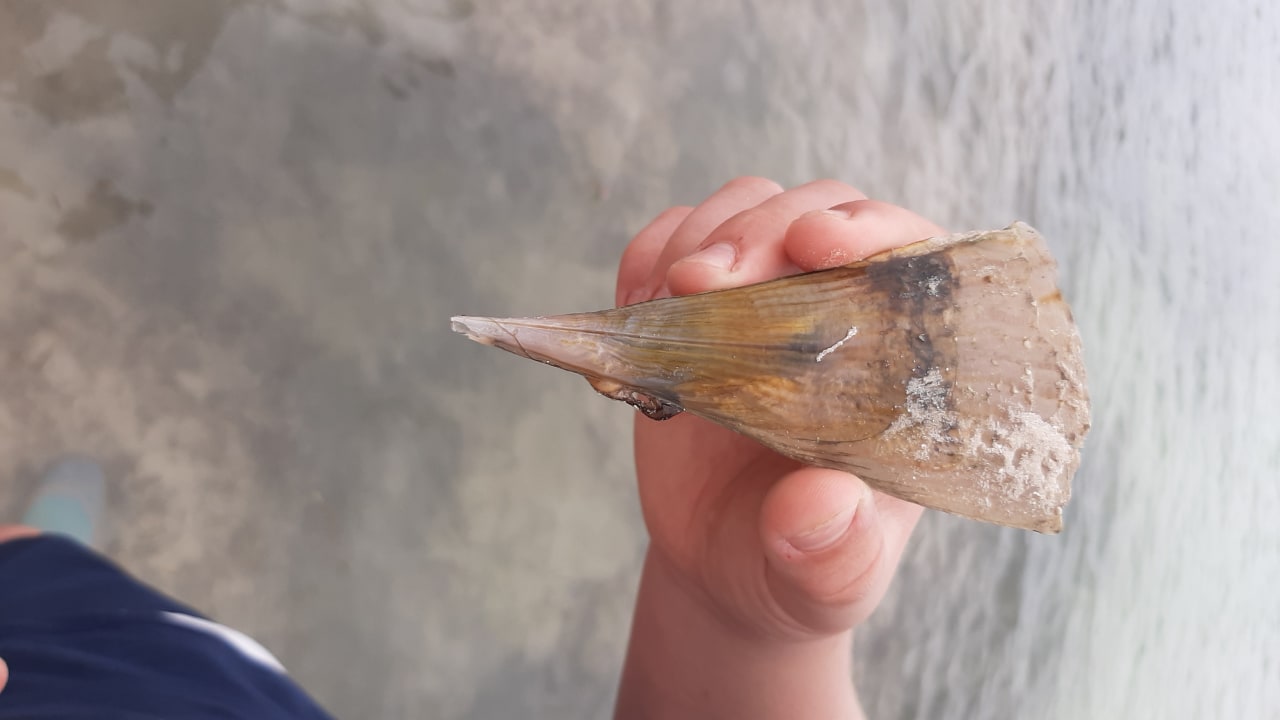 Sonstiges Neptune Palm Beach Boutique Resort & Spa