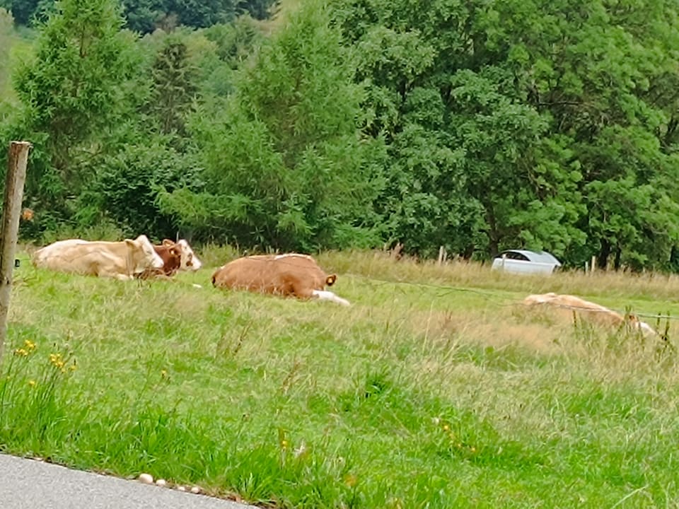 Sonstiges Landhotel Bayerwald