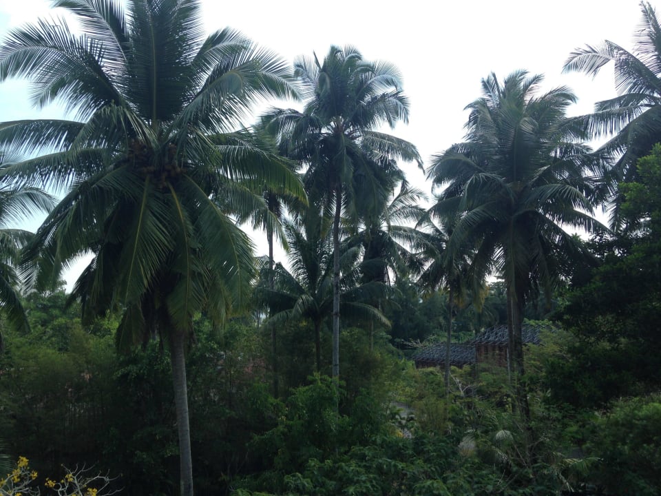 Aussicht vom Balkon Hotel Takolaburi Khao Lak