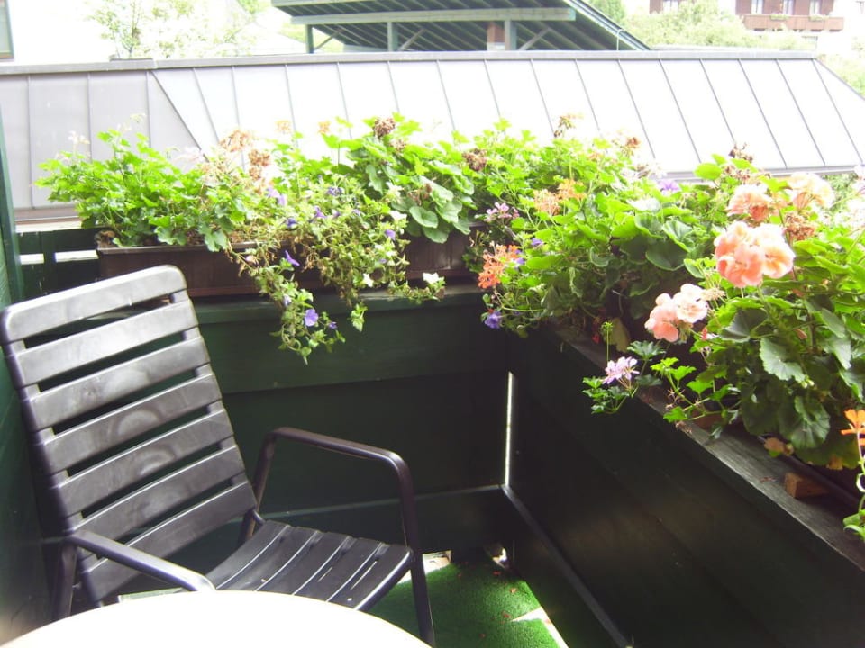 Ausstattung Vier Sterne Hotel Hotel Kohlerhof