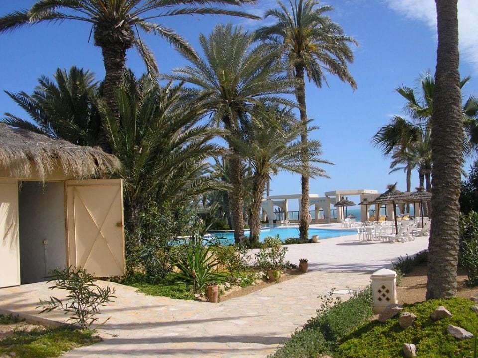 Ogród/basen Zita Beach Resort