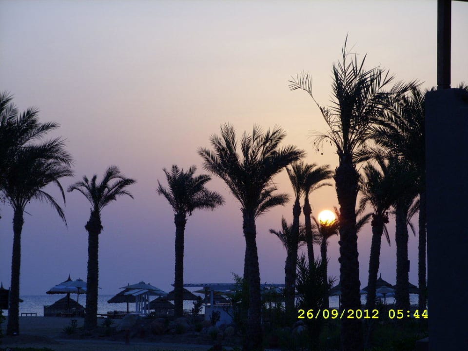 Nachts zum Hafen Pickalbatros Sands Hotel - Port Ghalib