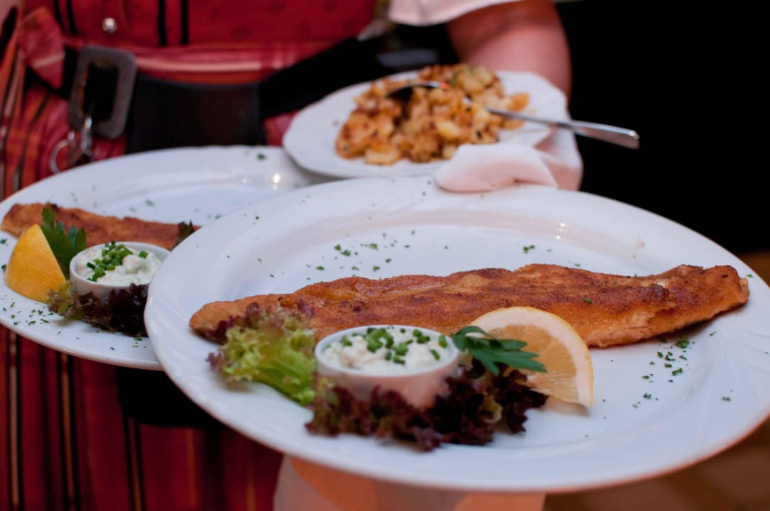 Unsere Fischspezialitäten Hotel Scheck's Fischerstüberl
