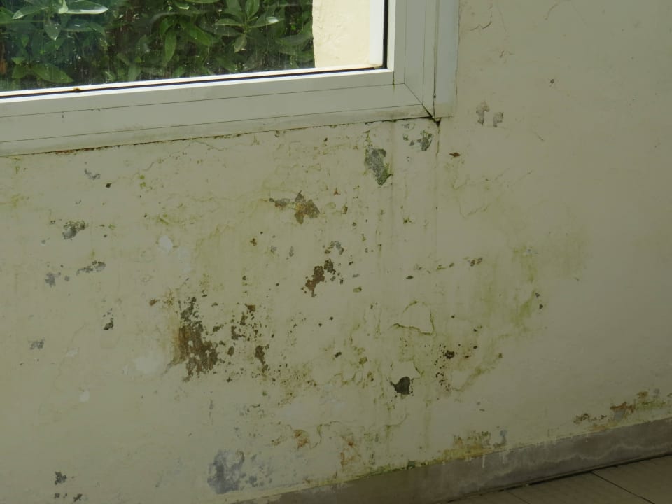 Hallenbad Iberostar Waves Mehari Djerba