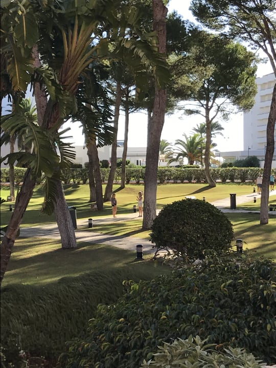 Gartenanlage Hipotels Hipocampo Palace & Spa