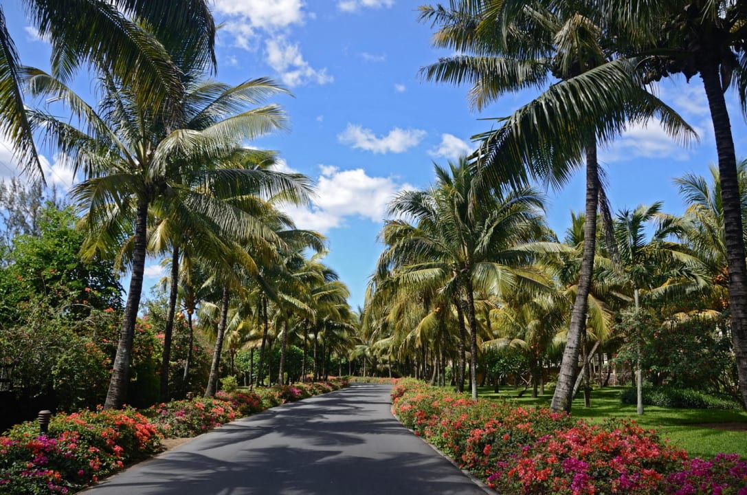 Die Einfahrt Victoria Beachcomber Resort & Spa