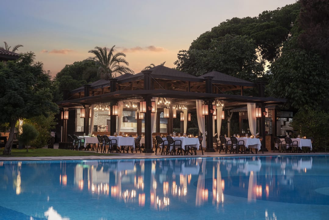 Gastro Papillon Ayscha