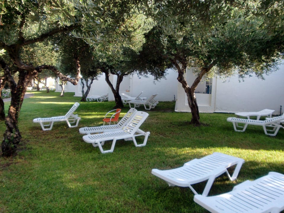 Bereich vor den Bungalows TUI KIDS CLUB Alex Beach