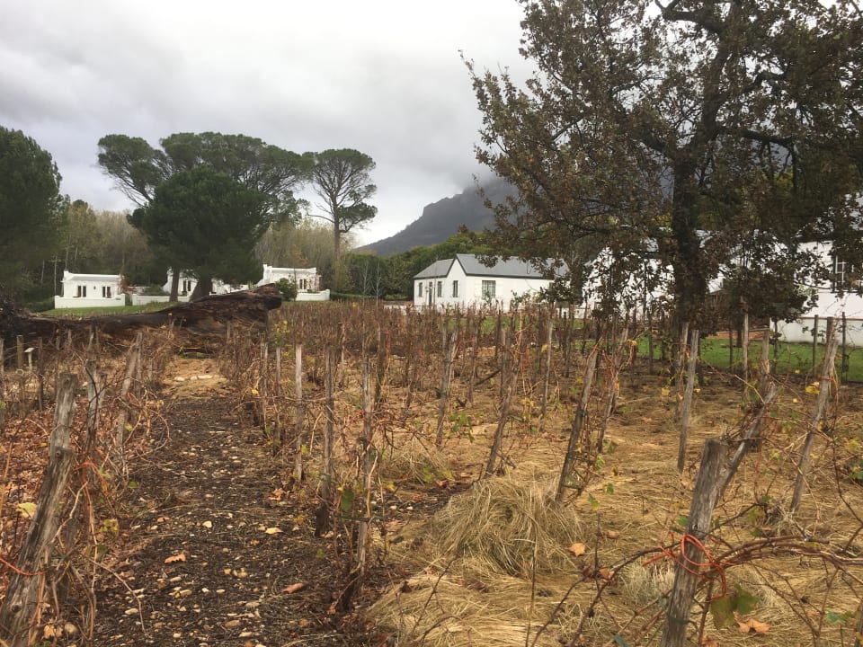 Gartenanlage Boschendal Estate