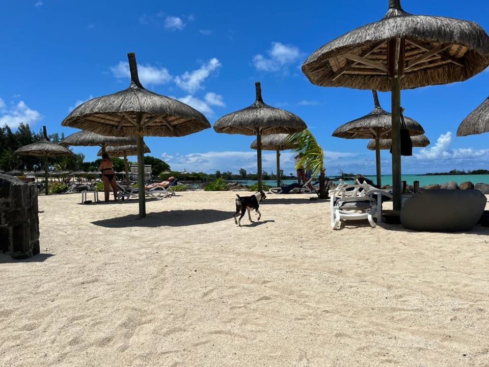 Strand Lagoon Attitude - Adults only