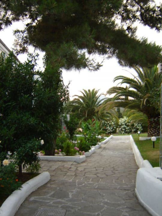 Hotelowy ogród Alexandra Beach Thassos Spa Resort