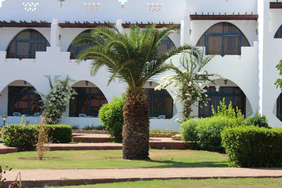 The Three Corners Equinox Beach Resort  Three Corners Equinox Beach Resort