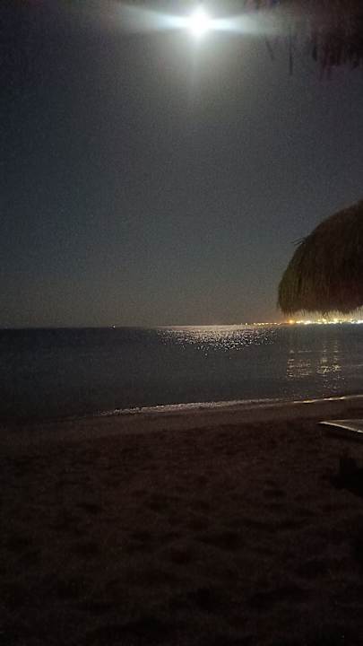 Strand Eagles Paradise Abu Soma