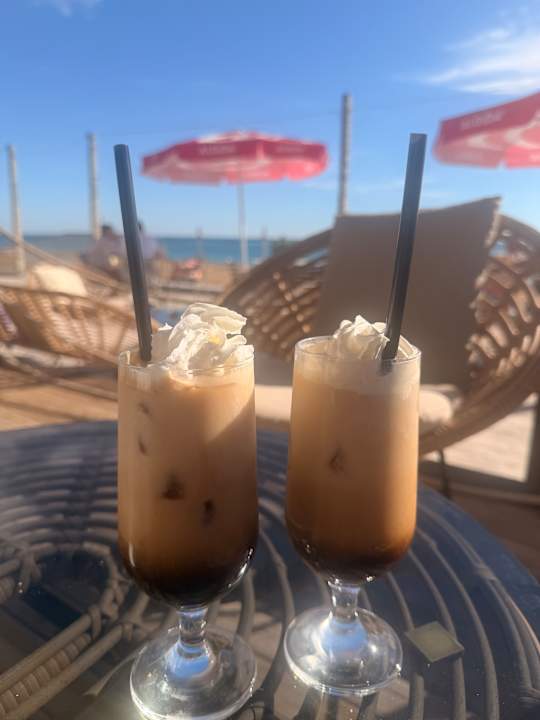 Strand Seashell Vega