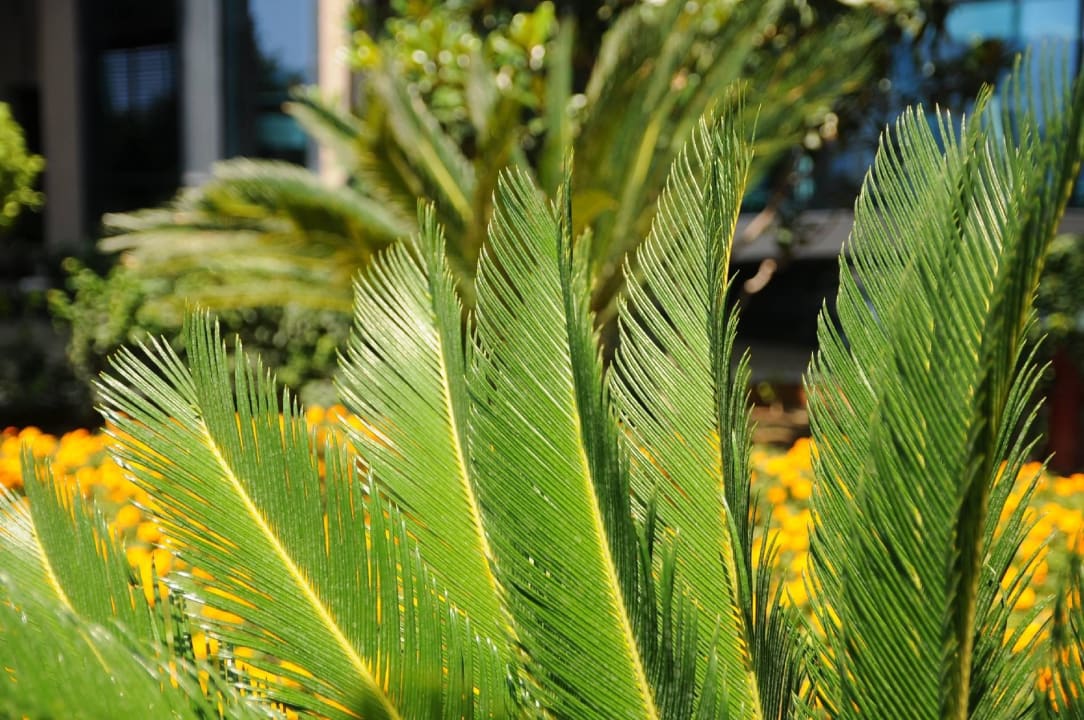 Anlage Susesi Luxury Resort