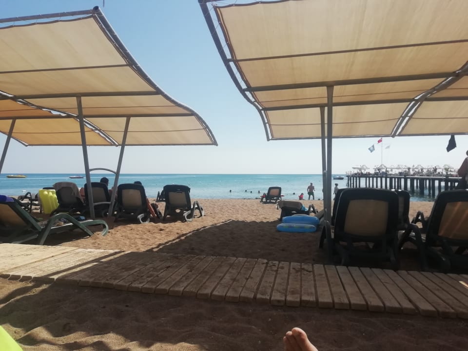 Strand Sherwood Exclusive Lara