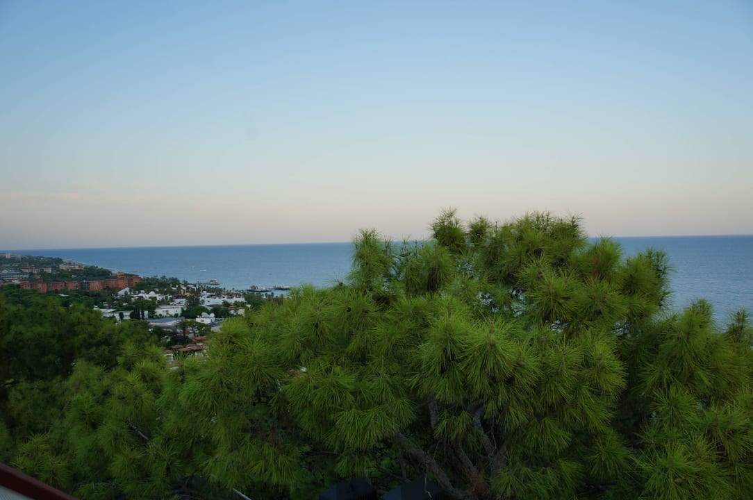 Опять сосны Simena Comfort Hotel