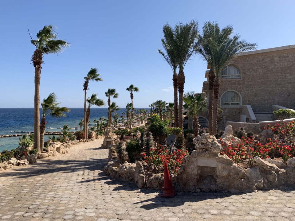 Gartenanlage Pickalbatros Citadel Resort