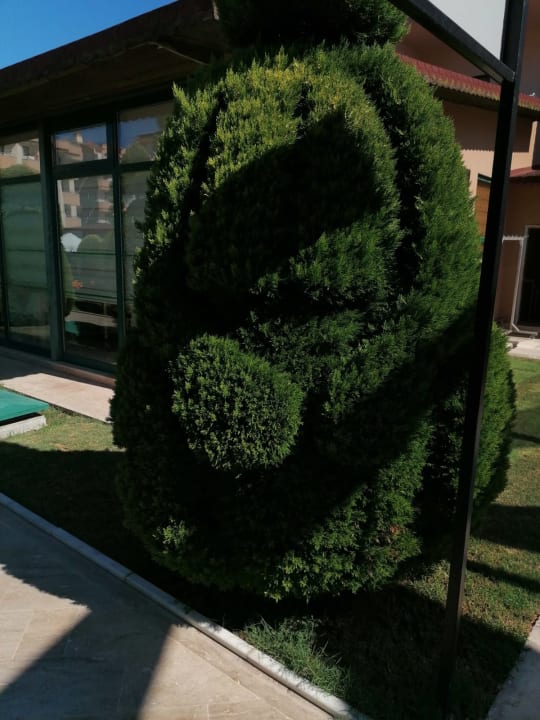 Gartenanlage Grand Seker Hotel