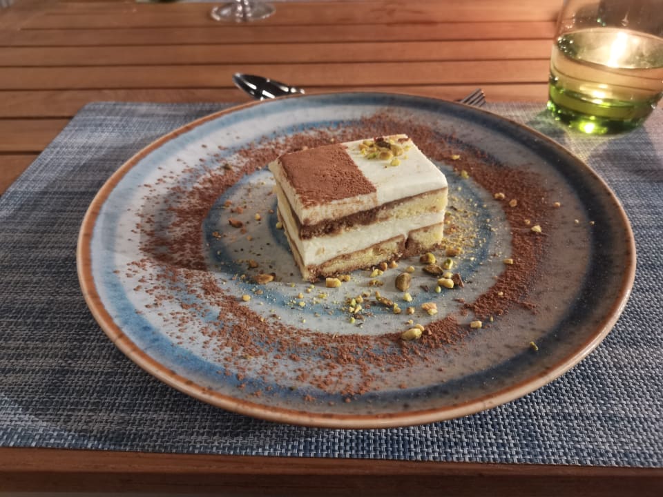 Gastro JAZ Elite Amara